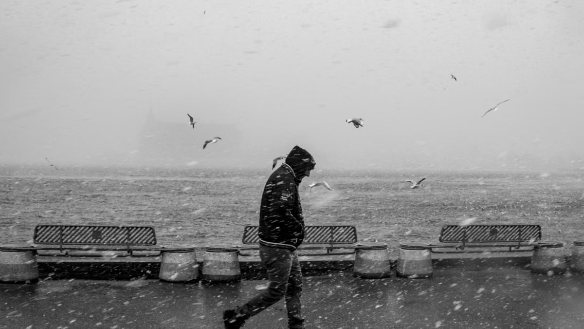 A person walking alone by the waterfront during a snowy winter storm, seagulls flying nearby.